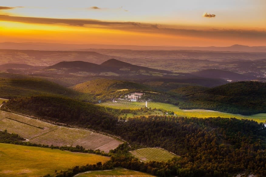 Vue aérienne de la vallée et de ses vignobles.