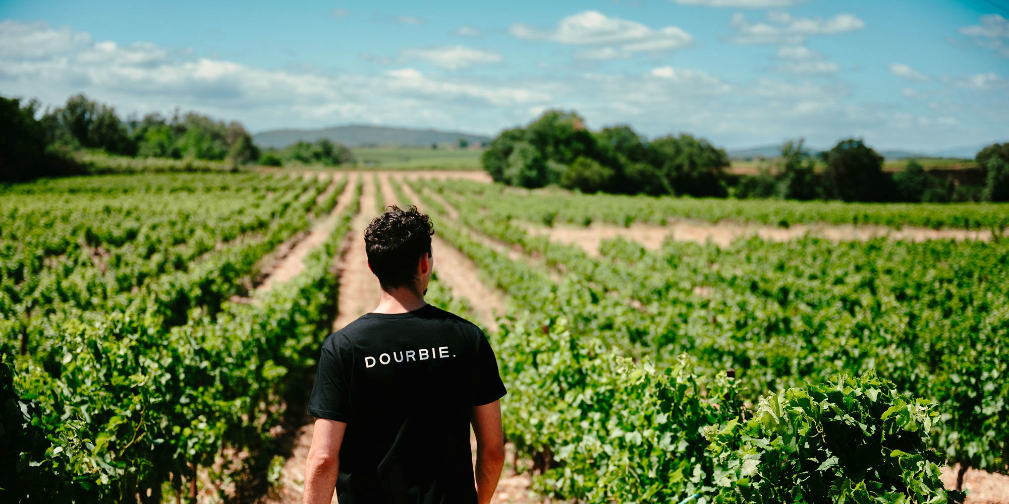 Laurent Graell de dos parcourant ses vignes.