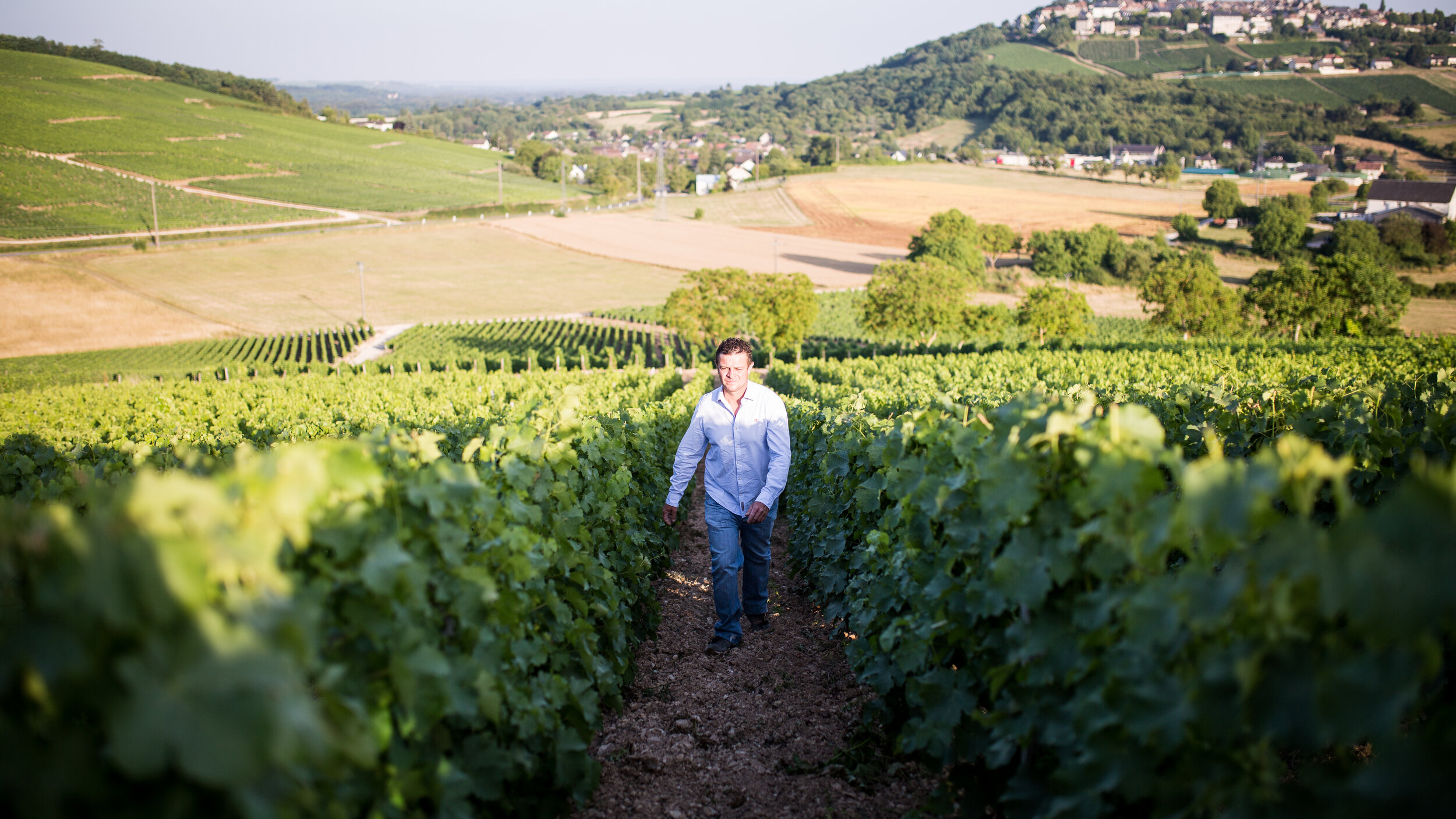 Stéphane Cherrier marchant au coeur de ses vignes.